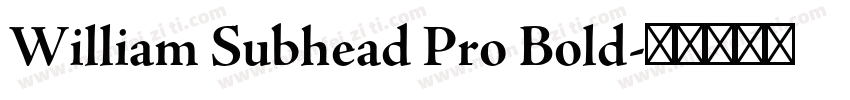 William Subhead Pro Bold字体转换